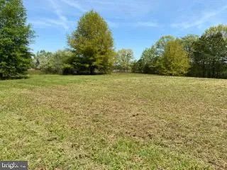 a view of a yard with an trees