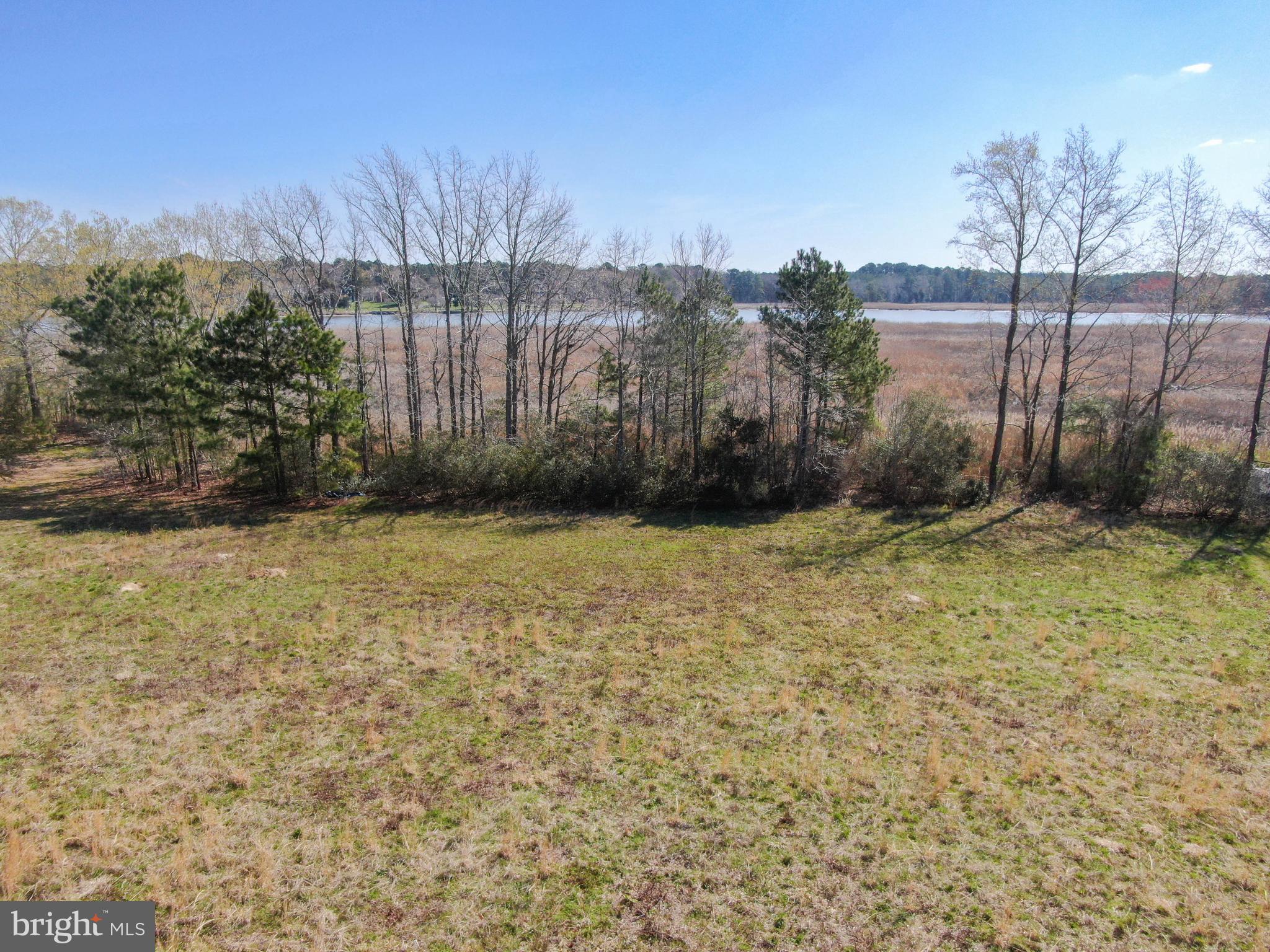 0 Green Hill Church Road Quantico, MD 21856 - Photo 10 of 17 a view of a backyard of the house