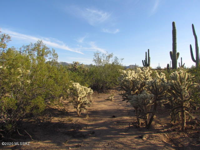 6470 North Gemstone Road Tucson, AZ 85743 - Photo 4 of 19 Gallery Image 4