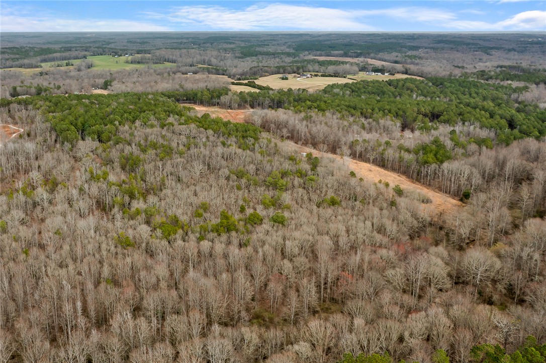 0 Varennes Church Road Iva, SC 29655 - Photo 9 of 16