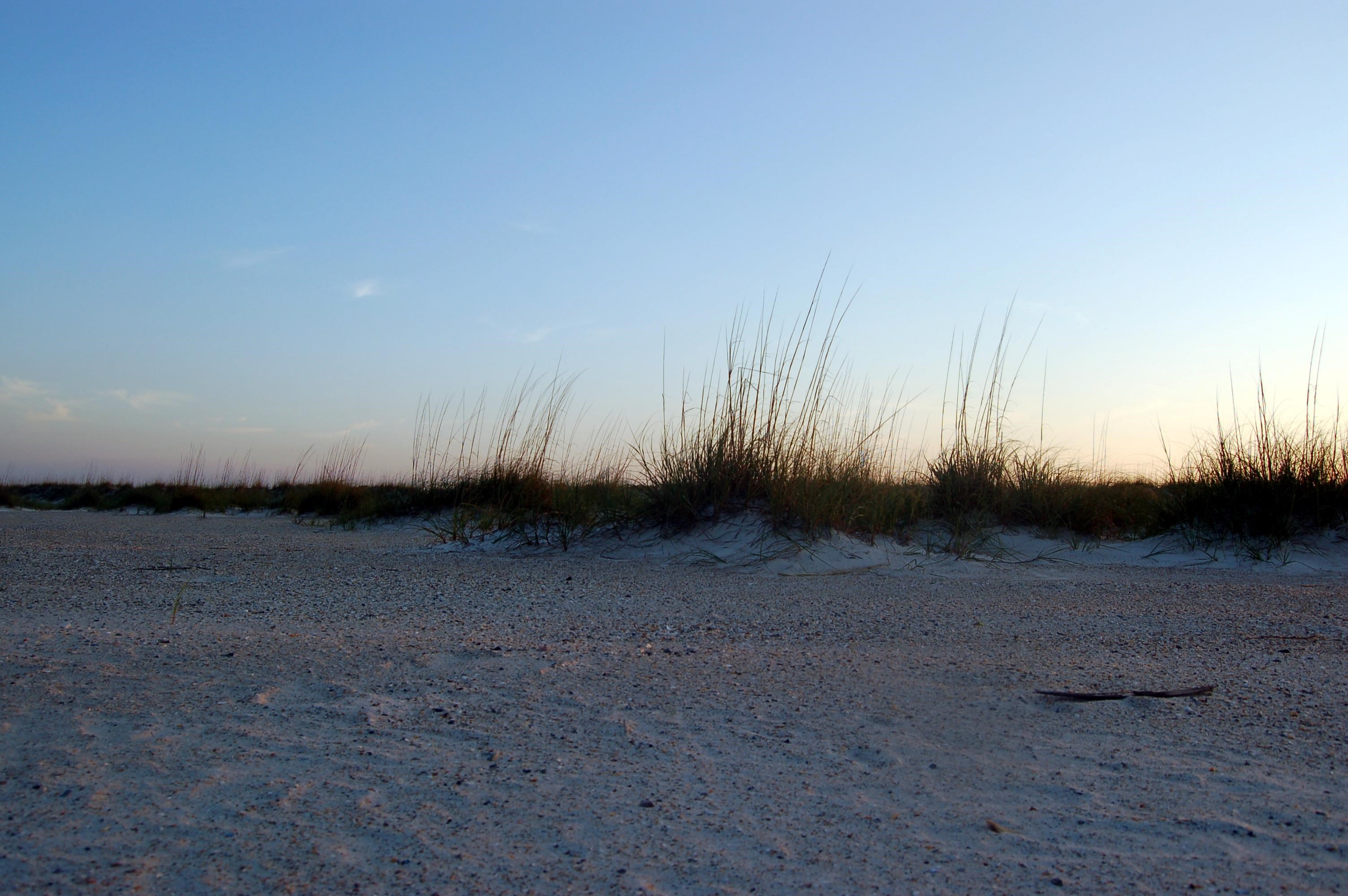 507 Gentian Road St. Augustine, FL 32086 - Photo 73 of 82 a view of a open area with wooden fence