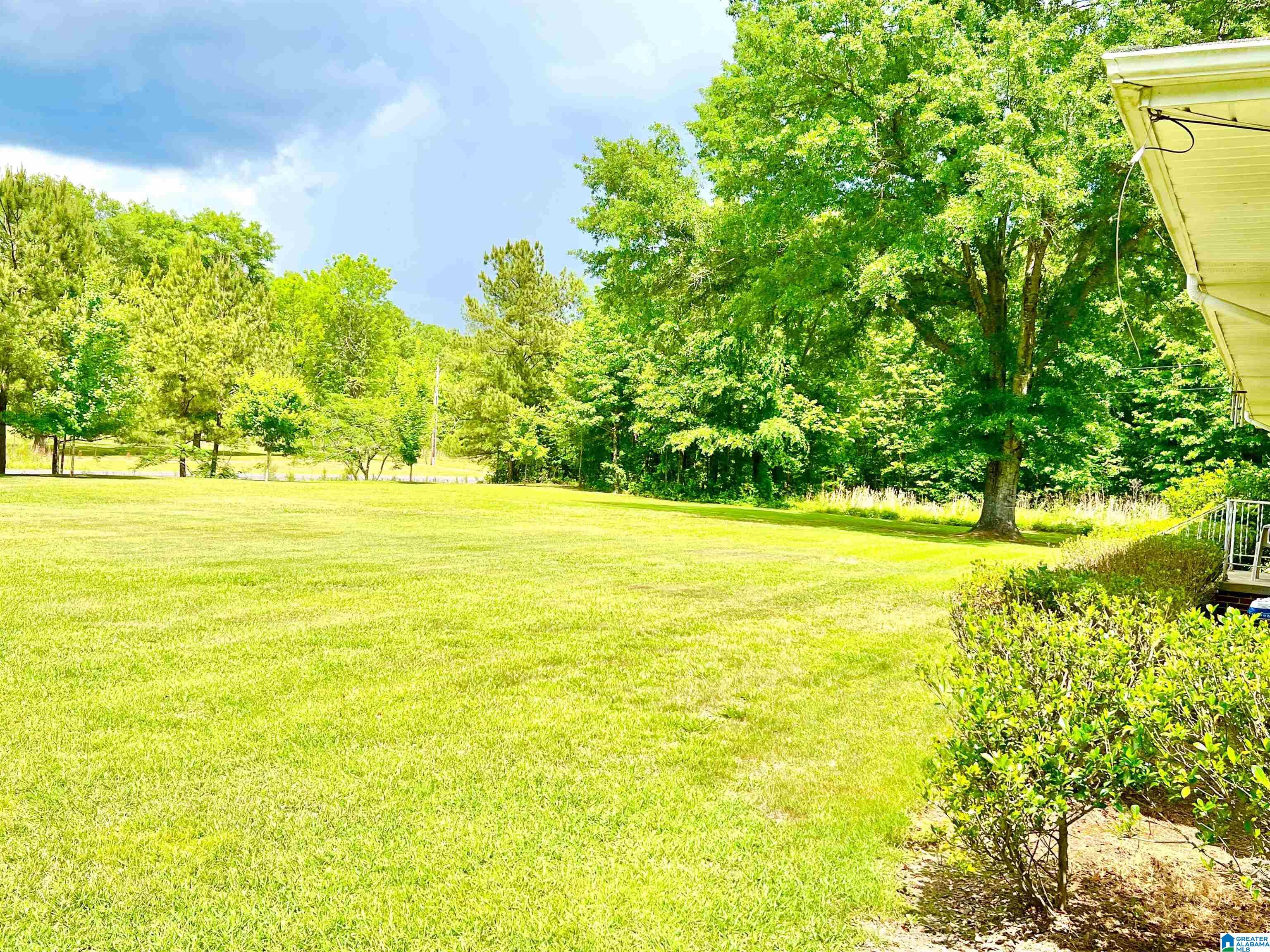 1797-ea Mill Dr Co Road Goodwater, AL 35072 - Photo 30 of 39