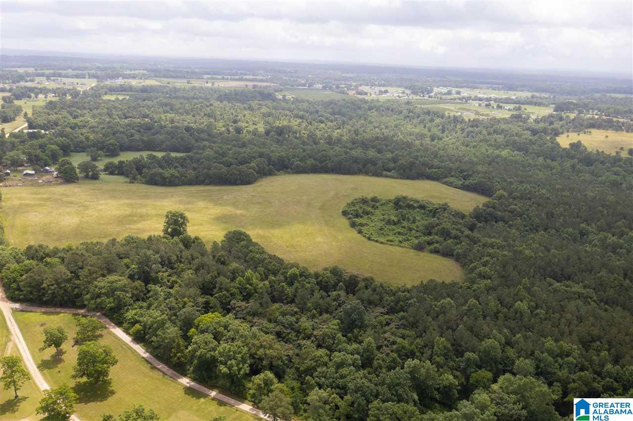 0 County Road 368 Verbena, AL 36091 - Photo 5 of 13