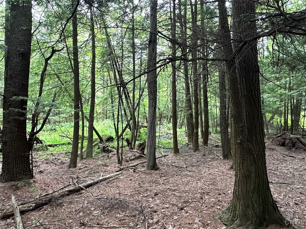 Cr-15a Allen, NY 14709 - Photo 19 of 27