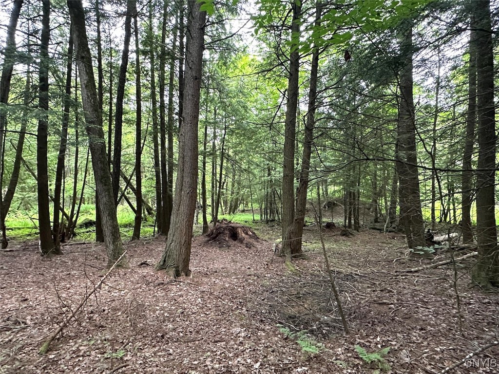 Cr-15a Allen, NY 14709 - Photo 20 of 27