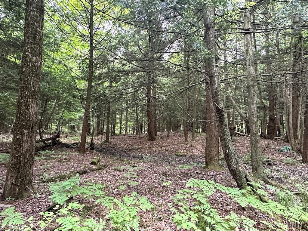 Cr-15a Allen, NY 14709 - Photo 22 of 27