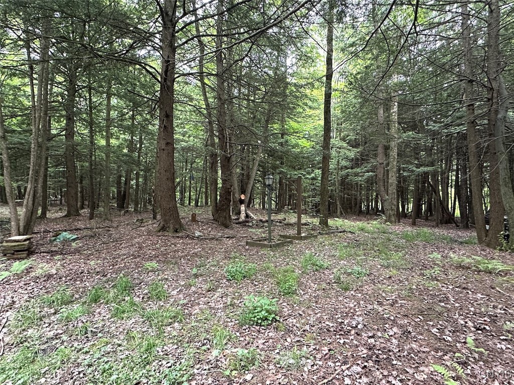 Cr-15a Allen, NY 14709 - Photo 23 of 27