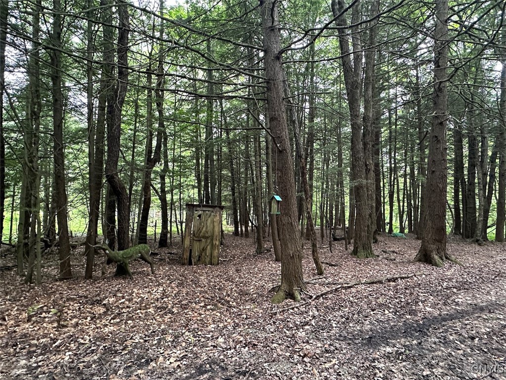 Cr-15a Allen, NY 14709 - Photo 24 of 27