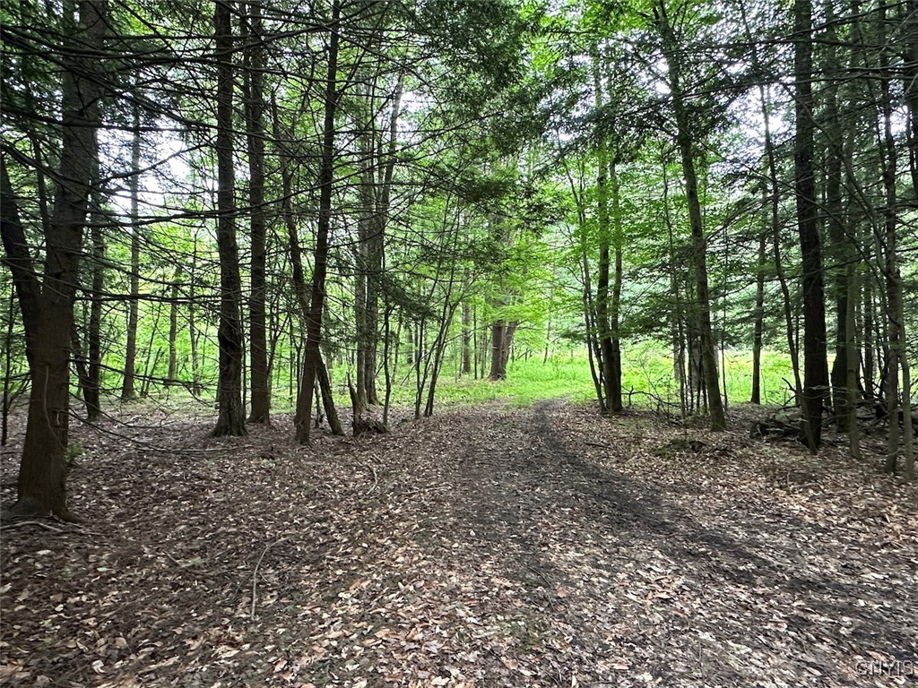 Cr-15a Allen, NY 14709 - Photo 25 of 27