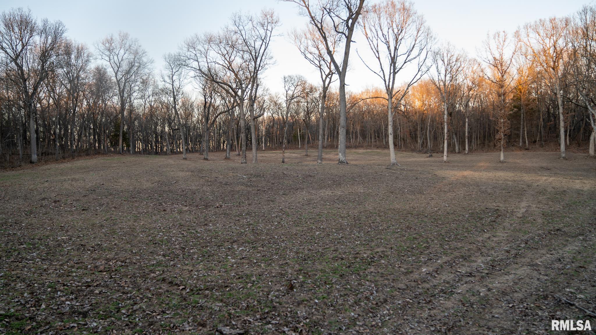 1 East 1050 Road Kilbourne, IL 62655 - Photo 1 of 36
