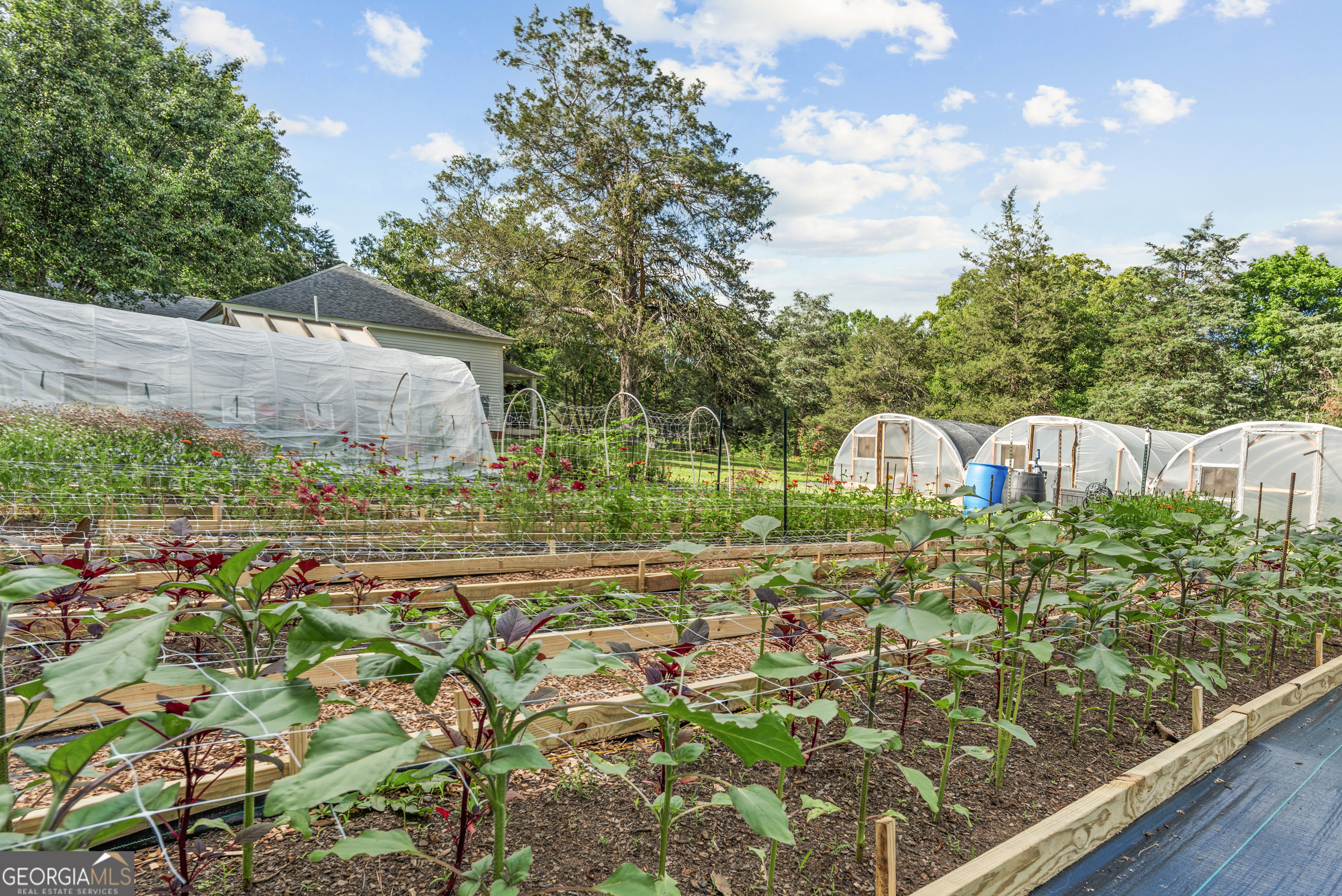 1580 Farmington Road Madison, GA 30650 - Photo 36 of 52 a view of a yard with an outdoor seating