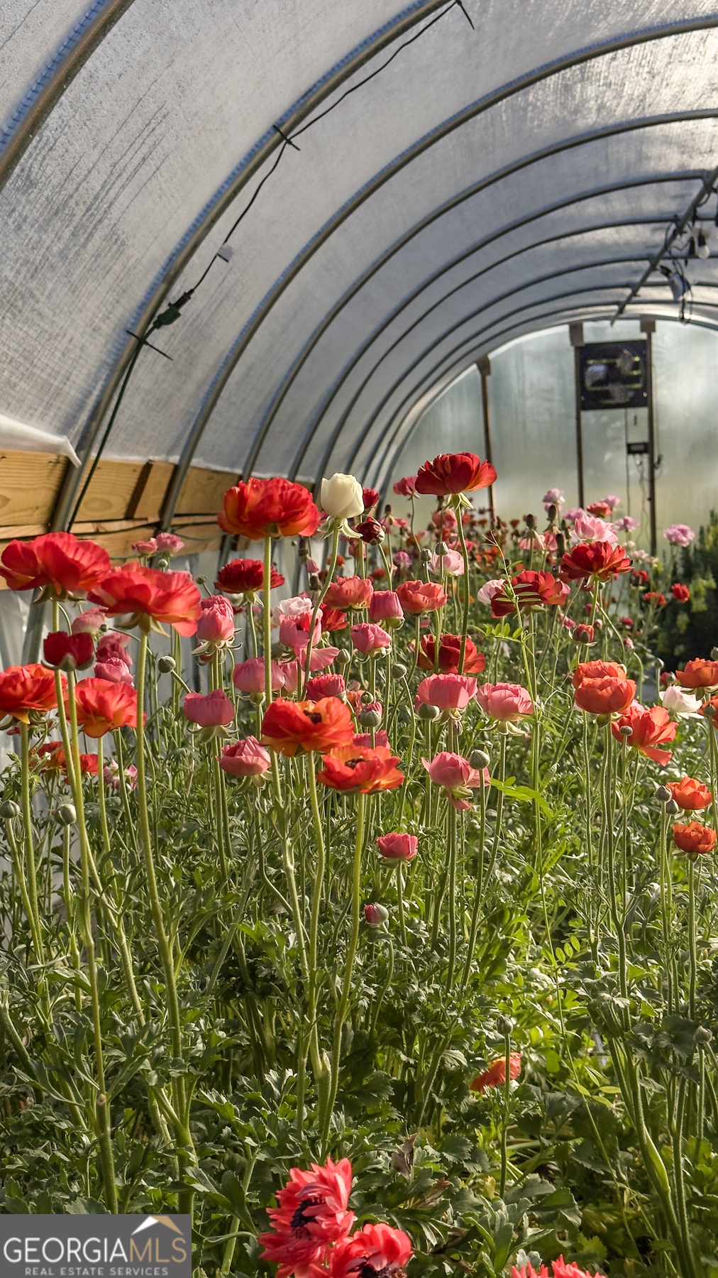 1580 Farmington Road Madison, GA 30650 - Photo 39 of 52 a view of a interior area