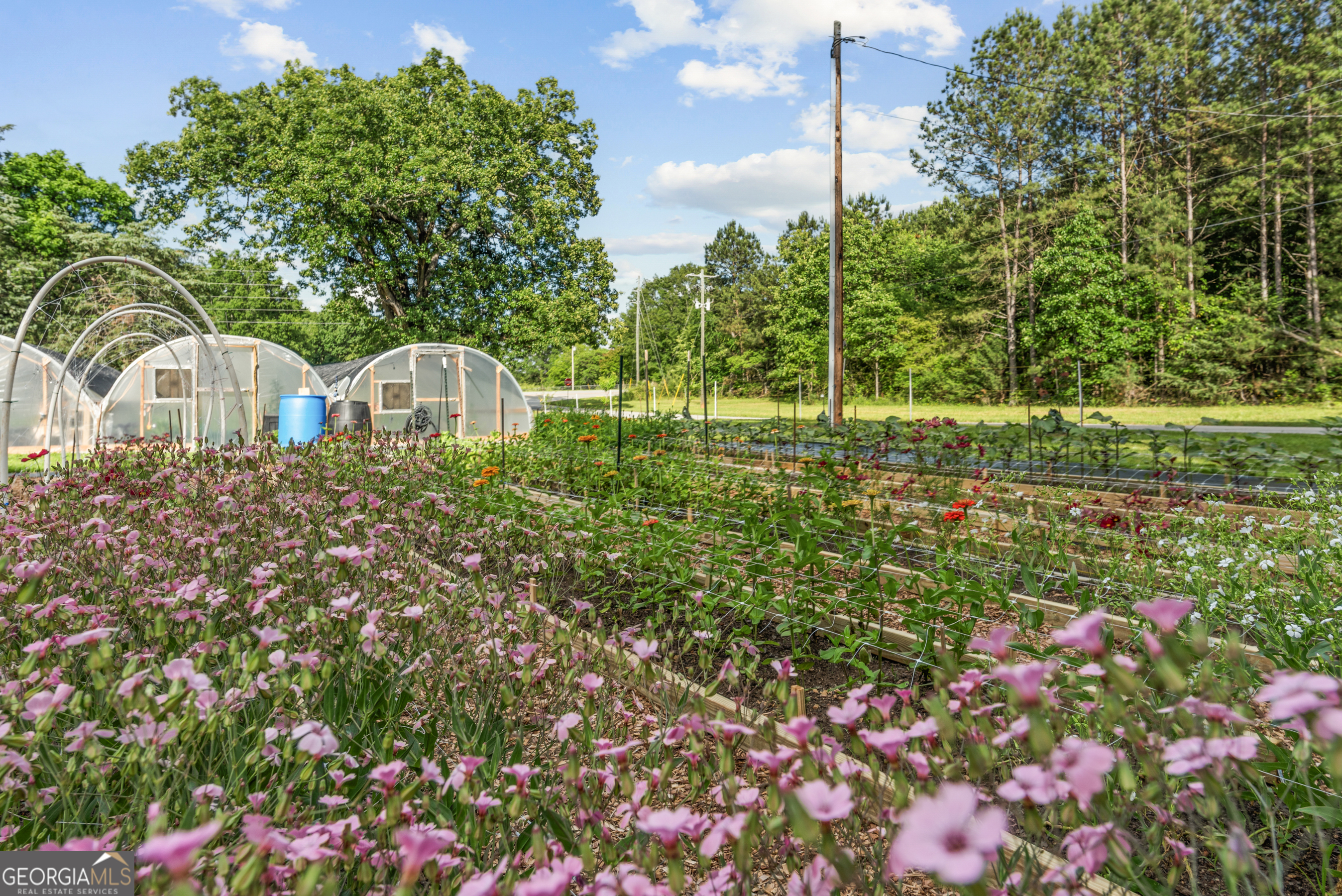 1580 Farmington Road Madison, GA 30650 - Photo 4 of 52 a view of a house with a flower garden