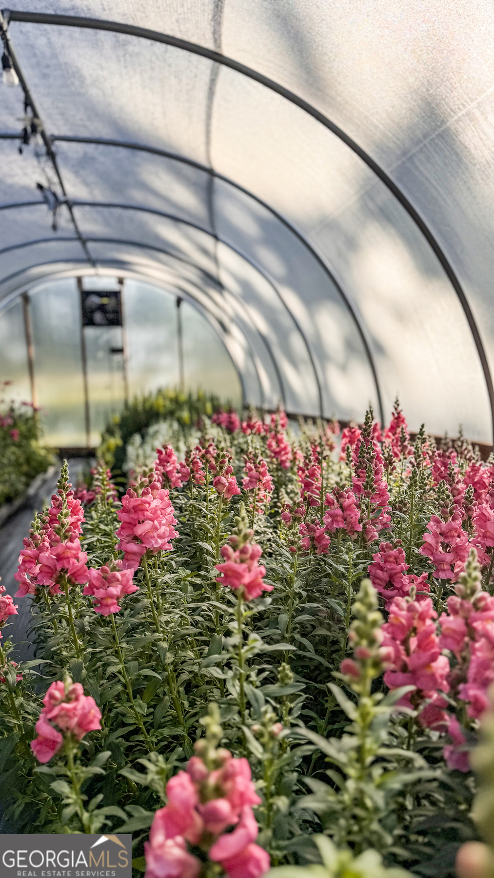 1580 Farmington Road Madison, GA 30650 - Photo 41 of 52 a flower garden view
