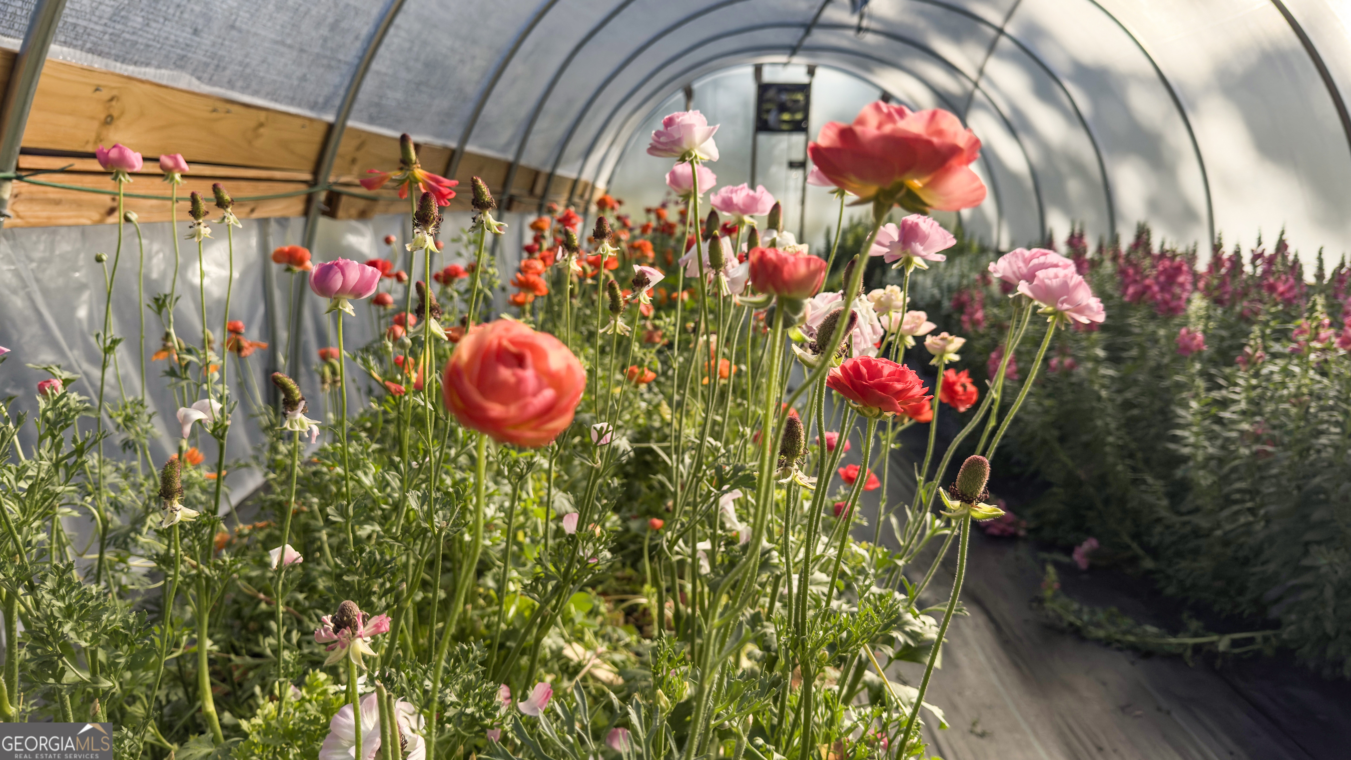 1580 Farmington Road Madison, GA 30650 - Photo 43 of 52 a view of entryway with flowers