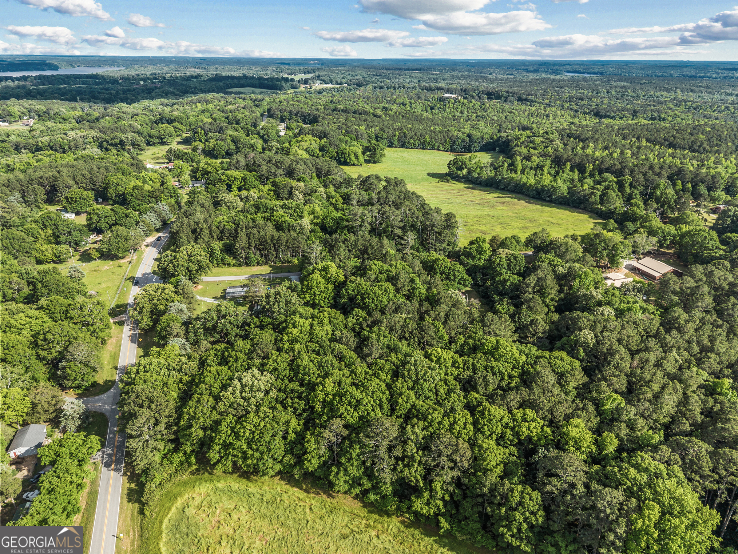 1580 Farmington Road Madison, GA 30650 - Photo 47 of 52 a view of a yard with an outdoor space