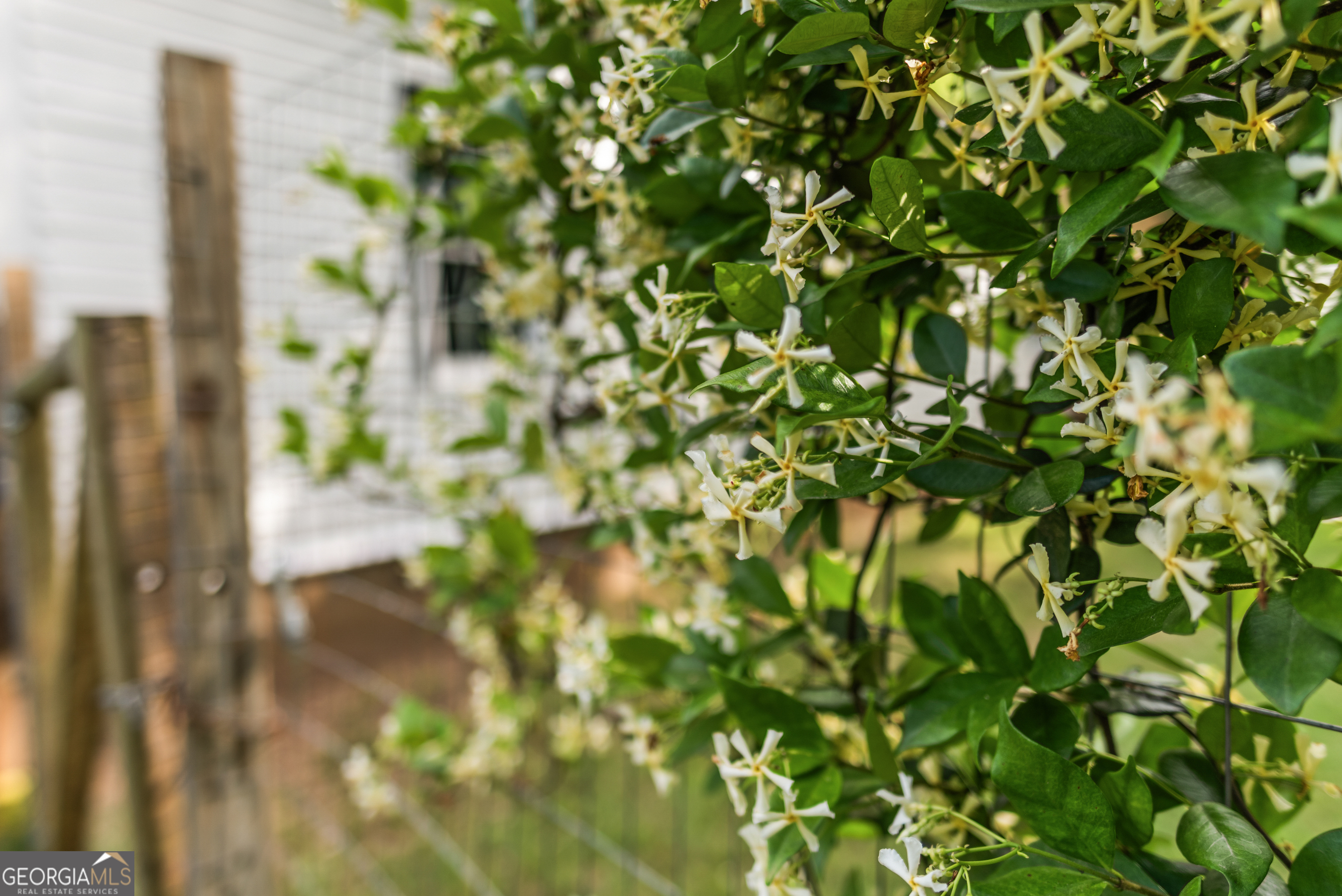 1580 Farmington Road Madison, GA 30650 - Photo 50 of 52 a view of a tree