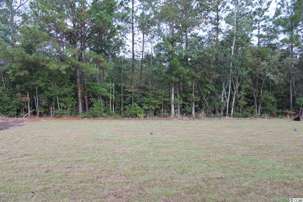 5243 Huston Road Conway, SC 29526 - Photo 18 of 29 Gallery Image 18