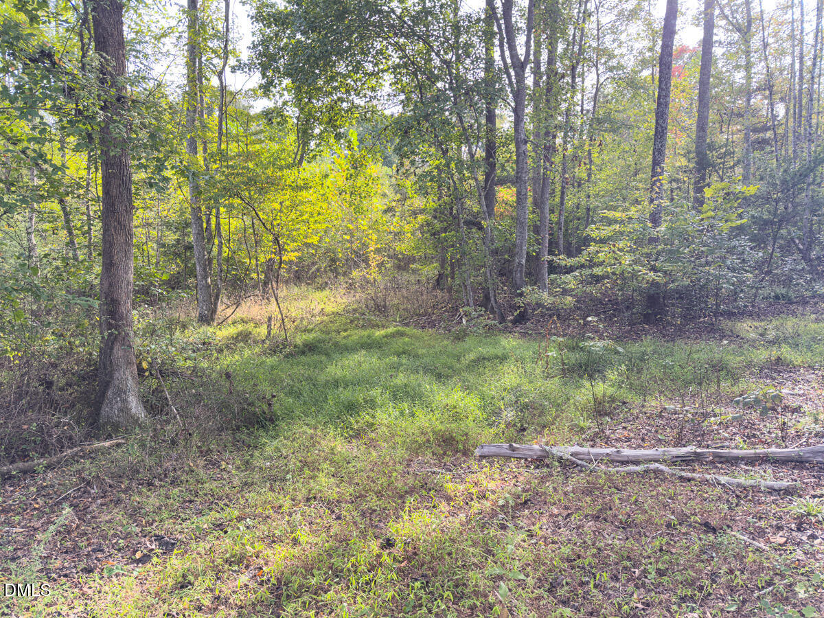 0 Mann Oakley Road Rougemont, NC 27572 - Photo 32 of 55 31