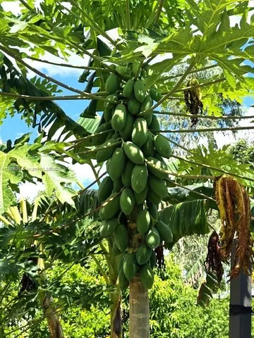 $170,000 | 2003 Roseland Avenue, Sebring, FL 33870