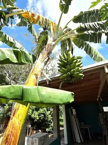 $170,000 | 2003 Roseland Avenue, Sebring, FL 33870