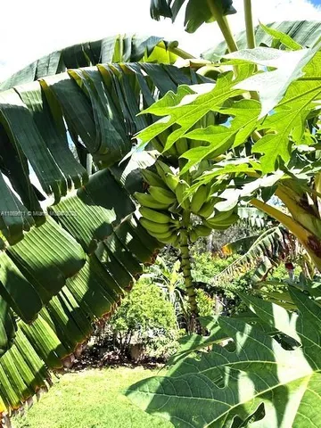 $170,000 | 2003 Roseland Avenue, Sebring, FL 33870