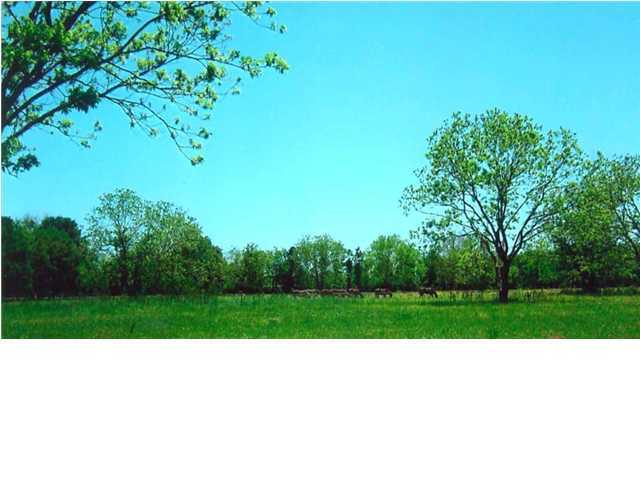 0 Jessie Richard Road Church Point, LA 70525 - Photo 1 of 4 Primary Photo