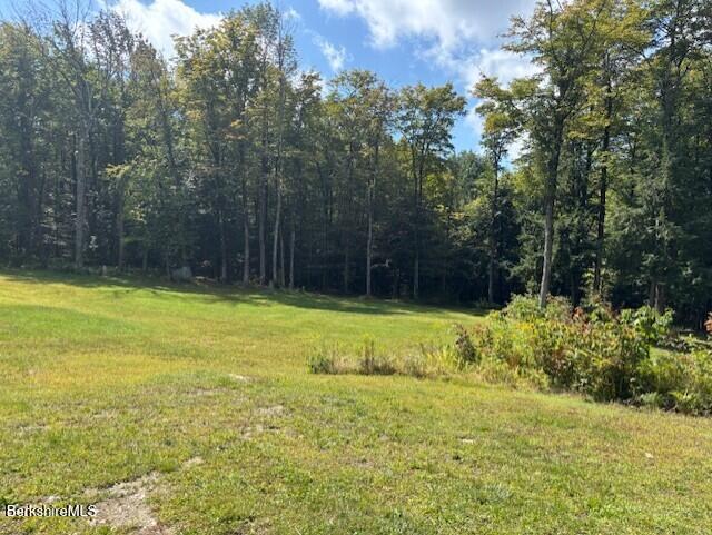 500 Loop Road Savoy, MA 01256 - Photo 23 of 27 a view of a swimming pool