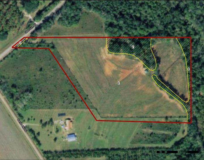 0 State Line Road Cottonwood, AL 36320 - Photo 1 of 12