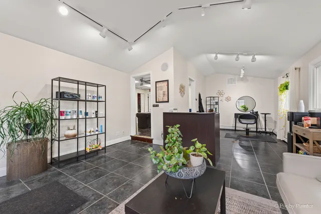 a living room with furniture and a potted plant