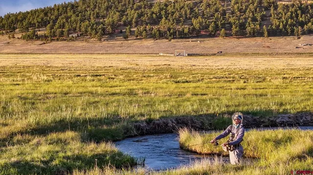 a view of an ocean and beach