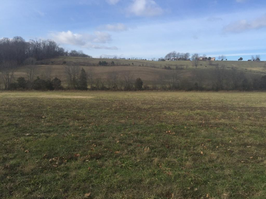 211 Don Carson Road Telford, TN 37690 - Photo 9 of 24 Photo 9