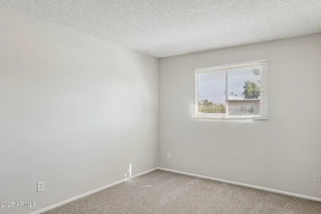 a close up of a shower curtain