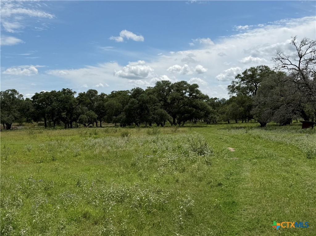 209 Rice Road Yoakum, TX 77995 - Photo 7 of 40