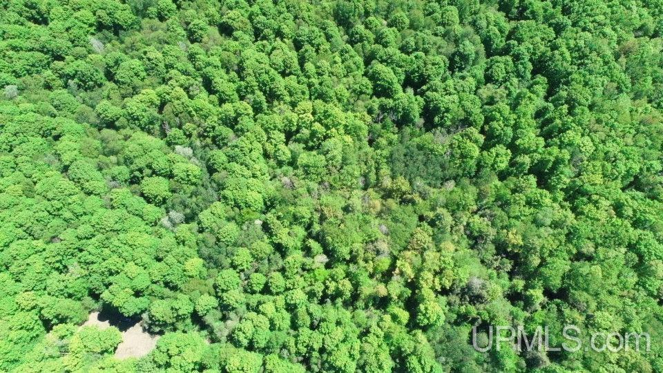 Tbd Tbd Osborn Dr Road McMillan, MI 49853 - Photo 16 of 18