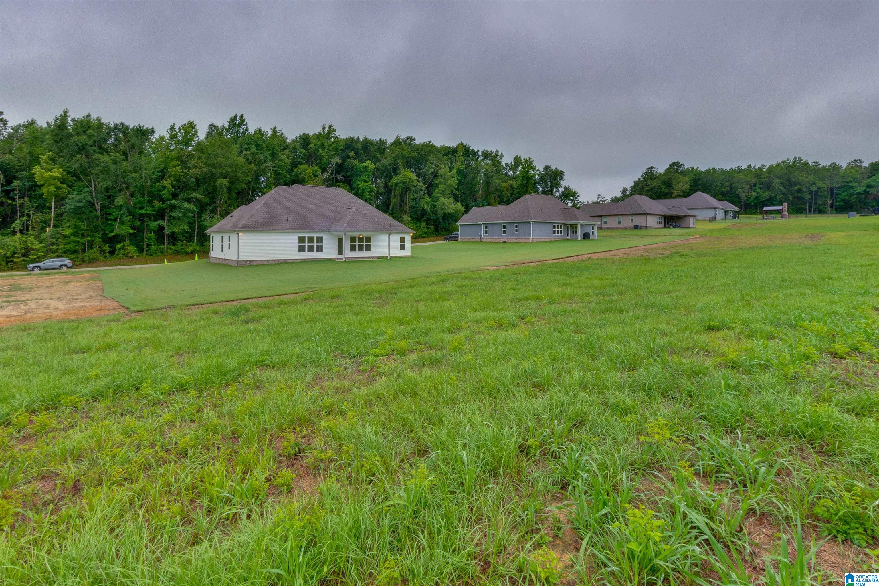 838 New Style Circle Clanton, AL 35045 - Photo 38 of 45
