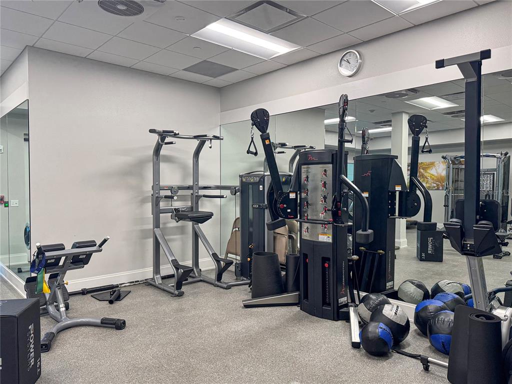 17110 Verona Place Lakewood Ranch, FL 34202 - Photo 59 of 60