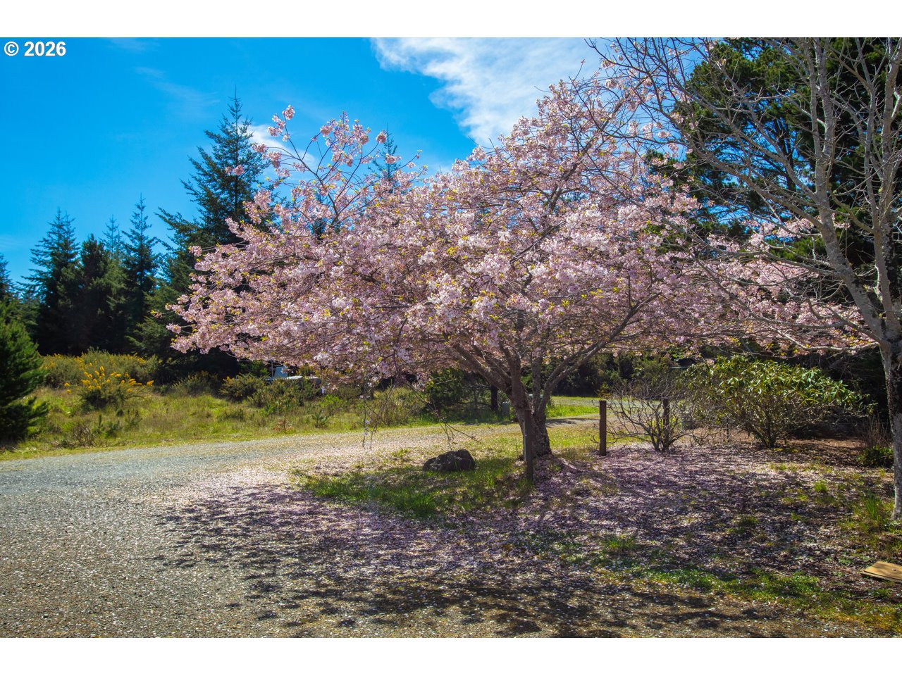 55100 Ruby Loop Bandon, OR 97411 - Photo 13 of 40