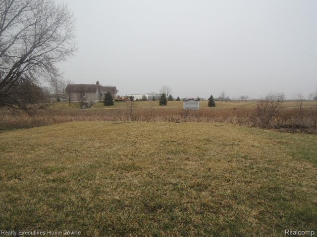 36900 Weber Road Richmond, MI 48062 - Photo 4 of 21 Case # 261-935805 Backyard.jpg