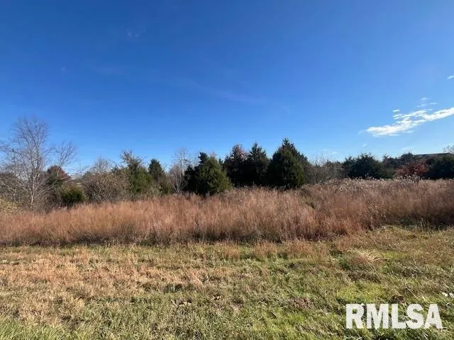 $115,000 | Lot 16 Pintail Lane, Creal Springs, IL 62922