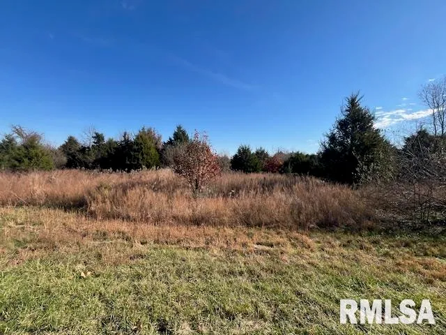 $115,000 | Lot 16 Pintail Lane, Creal Springs, IL 62922