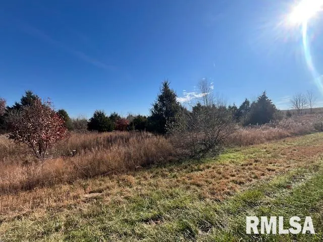 $115,000 | Lot 16 Pintail Lane, Creal Springs, IL 62922