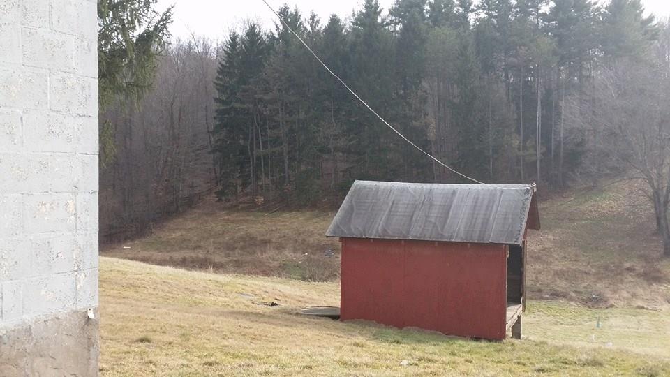 200 Pine Run Church Road Apollo, PA 15613 - Photo 5 of 23 Back yard view