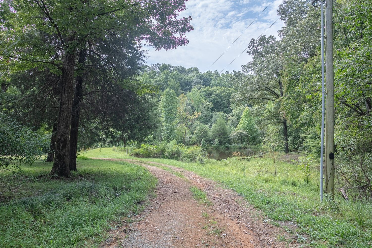 162 Tracy Road Hohenwald, TN 38462 - Photo 6 of 46 Gallery Image 6