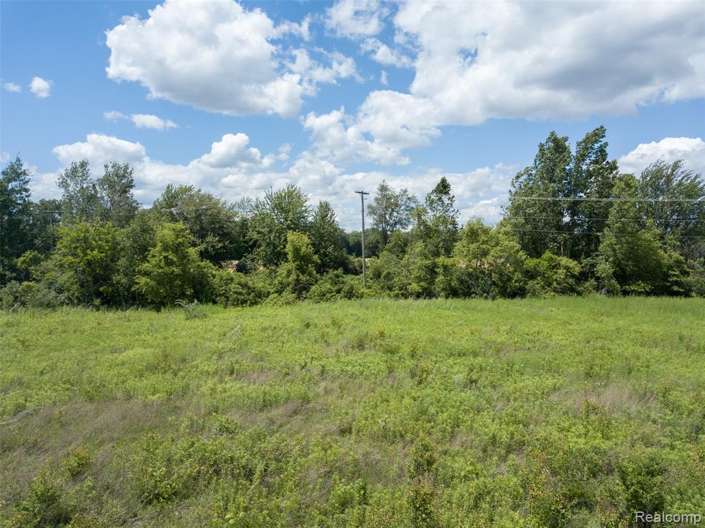 10467 Willis Road Willis, MI 48191 - Photo 9 of 11