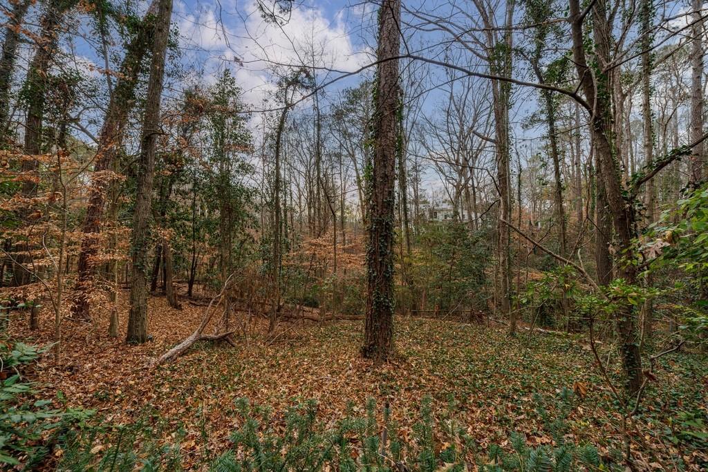 3990 Randall Mill Road Northwest Atlanta, GA 30327 - Photo 14 of 66