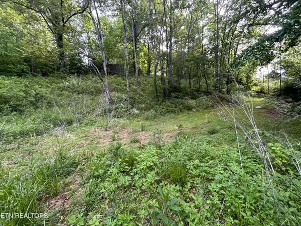 $45,000 | Lot 32 Ernie Roberts Road, Rutledge, TN 37861