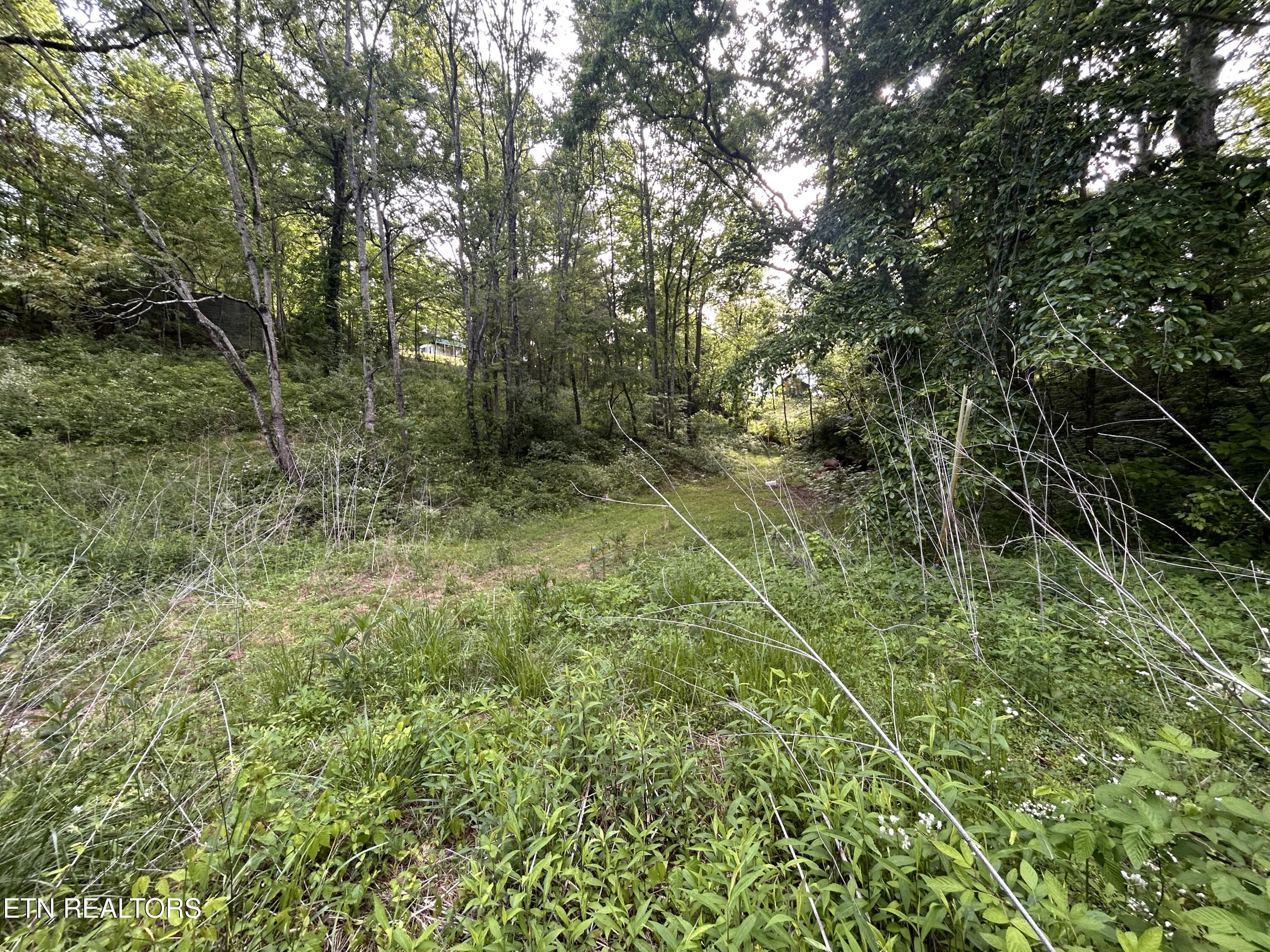 Lot 32 Ernie Roberts Road Rutledge, TN 37861 - Photo 2 of 8 IMG_2697
