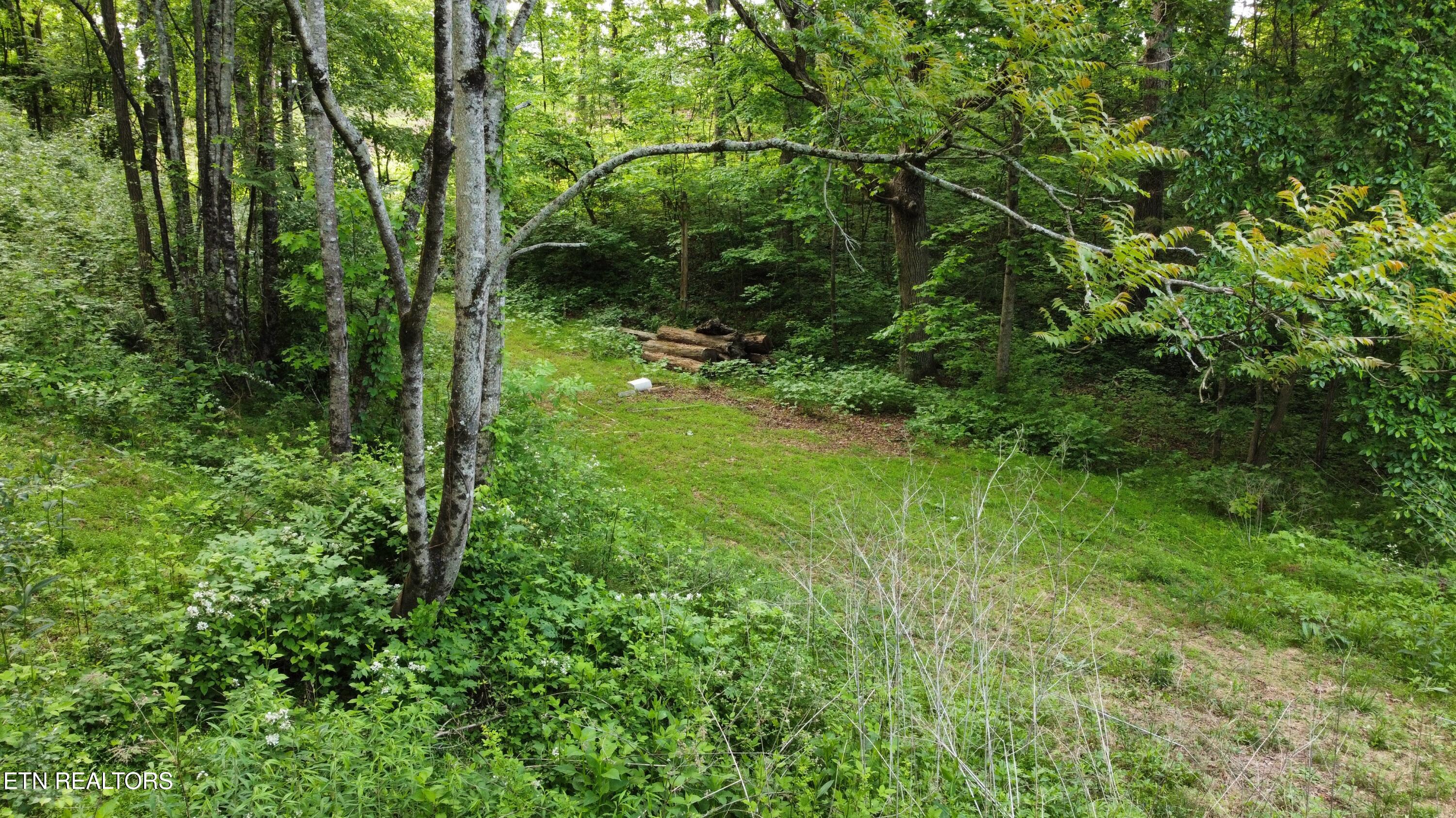 Lot 32 Ernie Roberts Road Rutledge, TN 37861 - Photo 3 of 8 dji_fly_20260502_093450_207_177772891343
