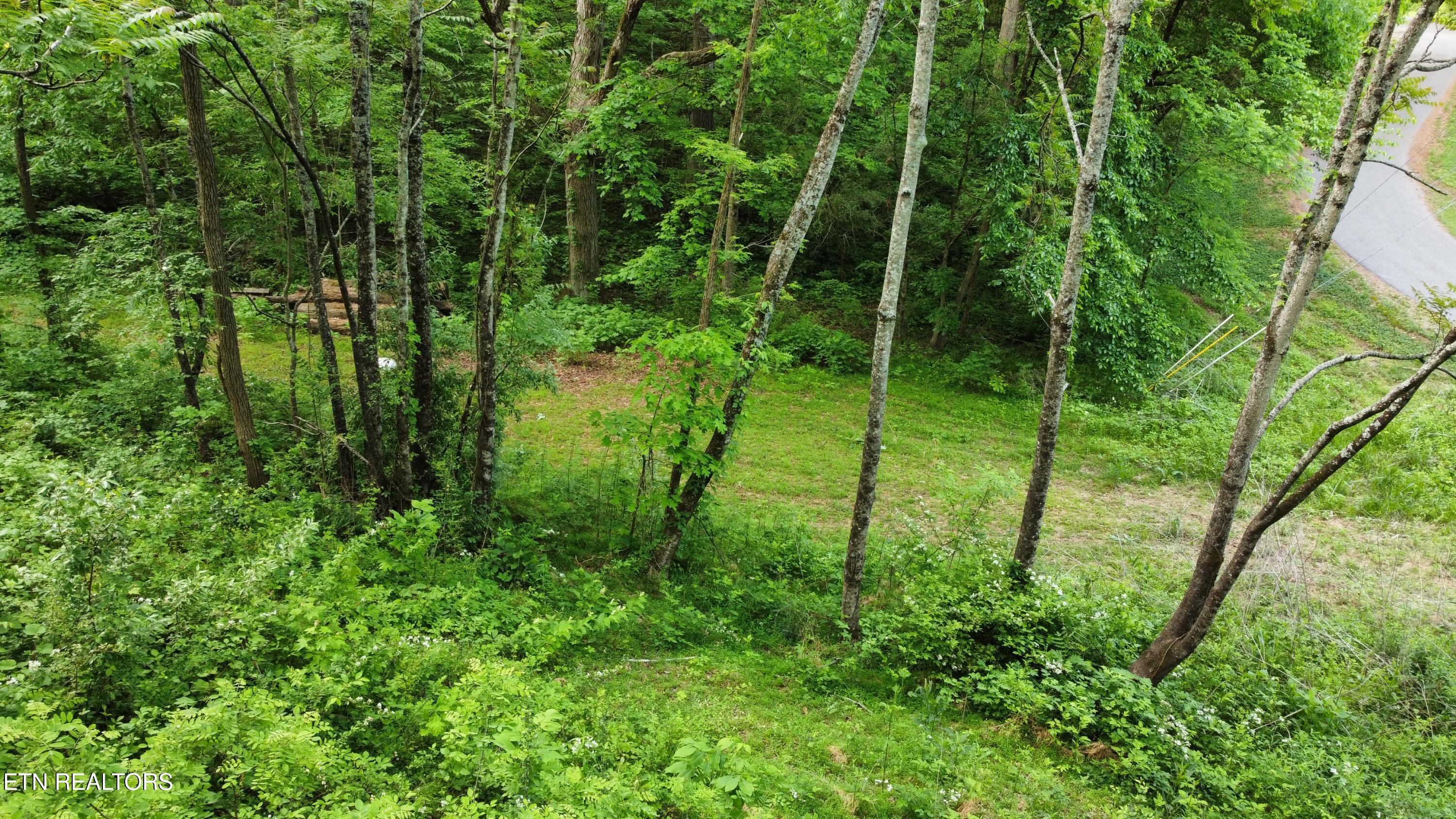 Lot 32 Ernie Roberts Road Rutledge, TN 37861 - Photo 4 of 8 dji_fly_20260502_093502_208_177772890986